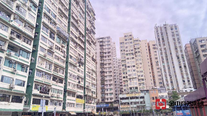 香港专才计划